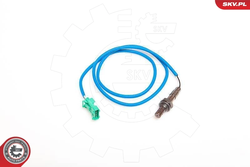Oxygen Sensor